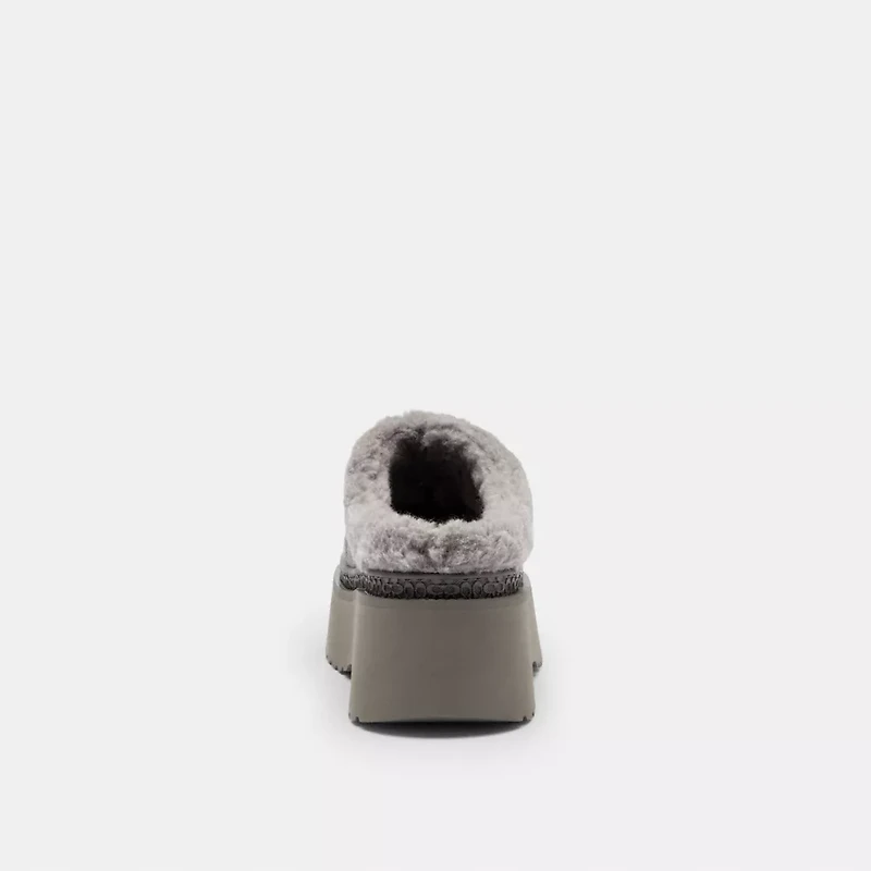 Cecelia Clog Signature Suede