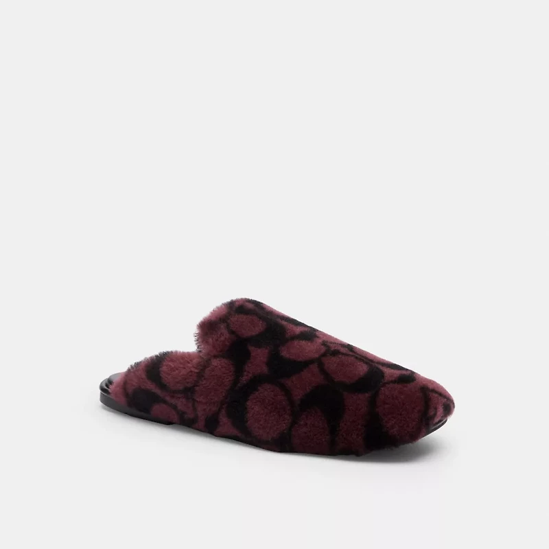 Slipper Signature Shearling
