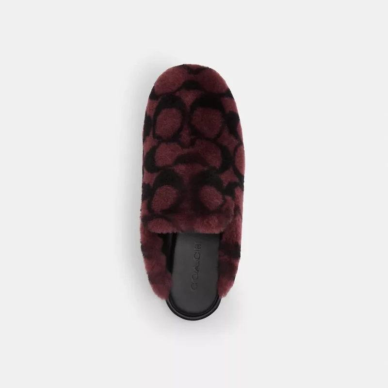 Slipper Signature Shearling