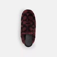 Slipper Signature Shearling