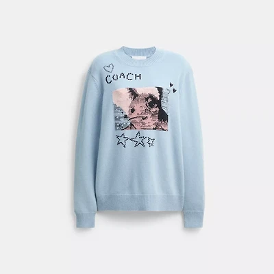 Floppy Intarsia Crewneck Sweater