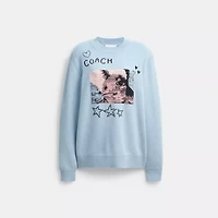 Floppy Intarsia Crewneck Sweater