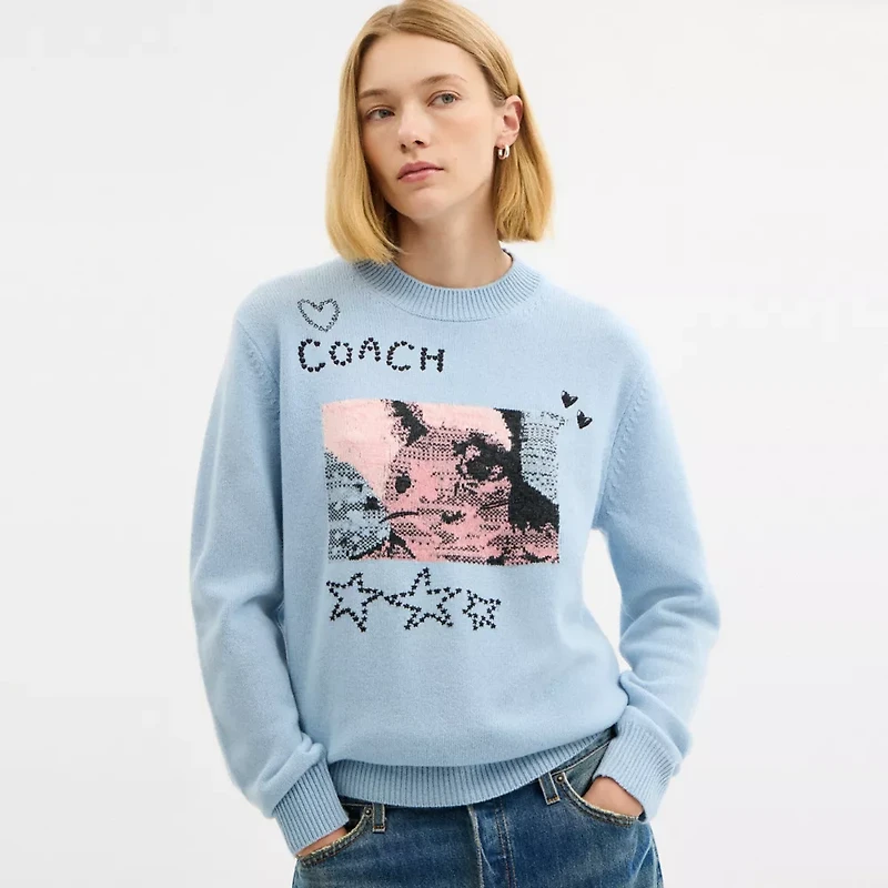 Floppy Intarsia Crewneck Sweater