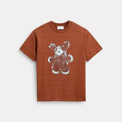 Fuzzy Signature Relaxed T Shirt