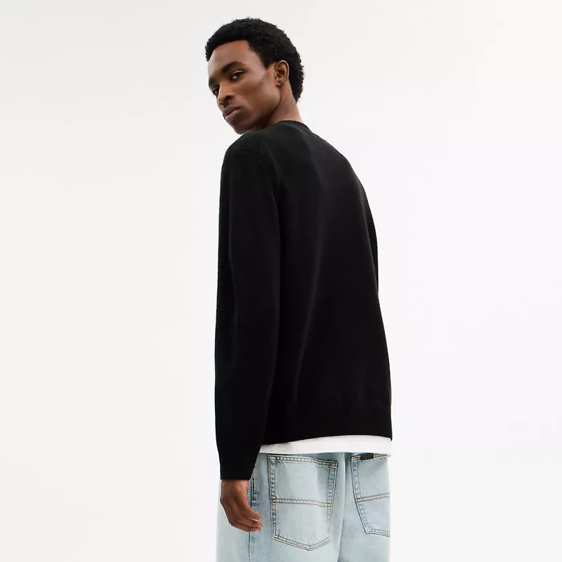 Lightweight Bear Graphic Sweater