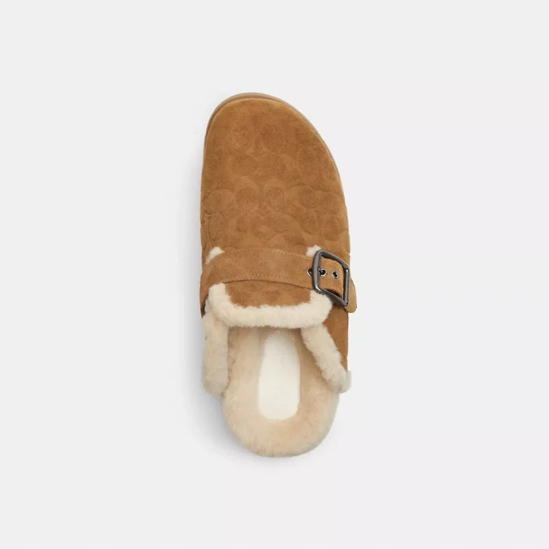 Buckle Clog Signature