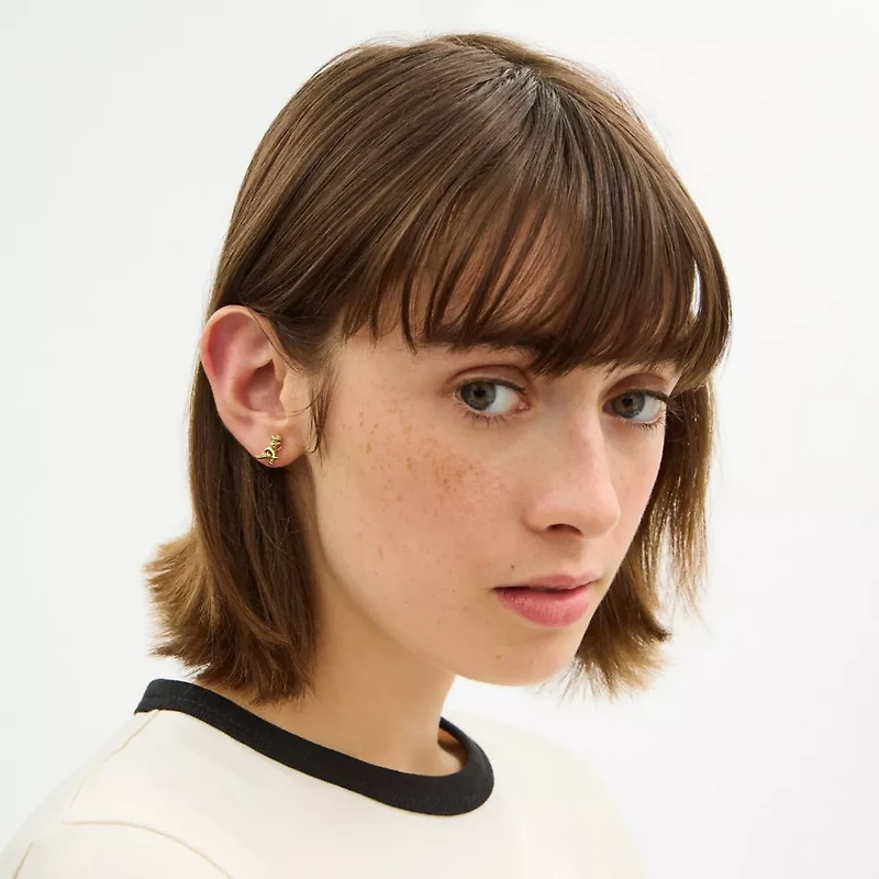 Brushed Rexy Stud Earrings