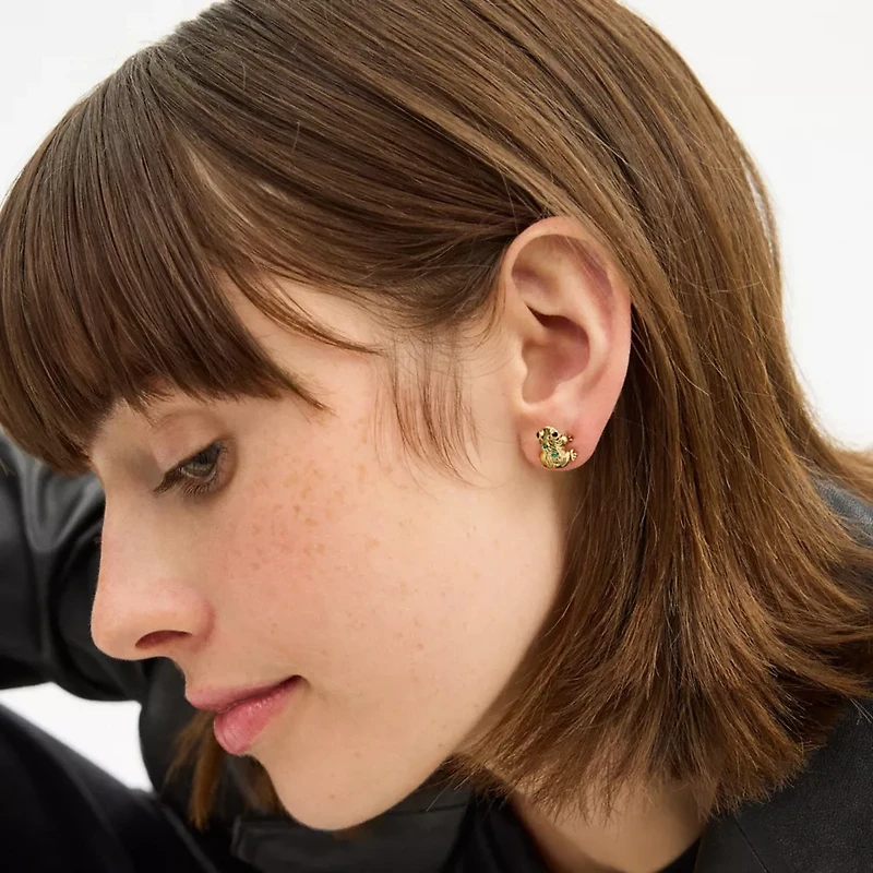 Brushed Frog Stud Earrings