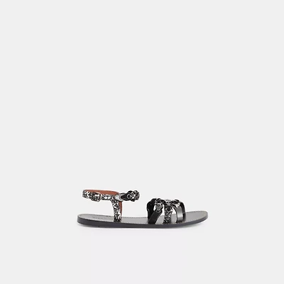Restored Sandal With Coach Link