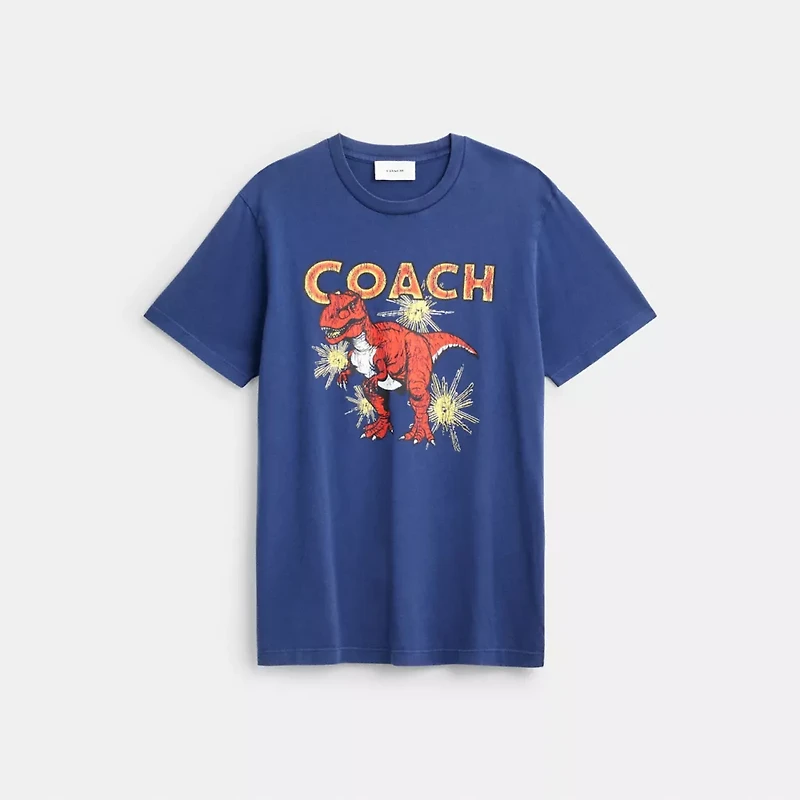 Garment Washed Dinosaur T Shirt Organic Cotton