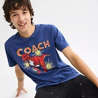 Garment Washed Dinosaur T Shirt Organic Cotton