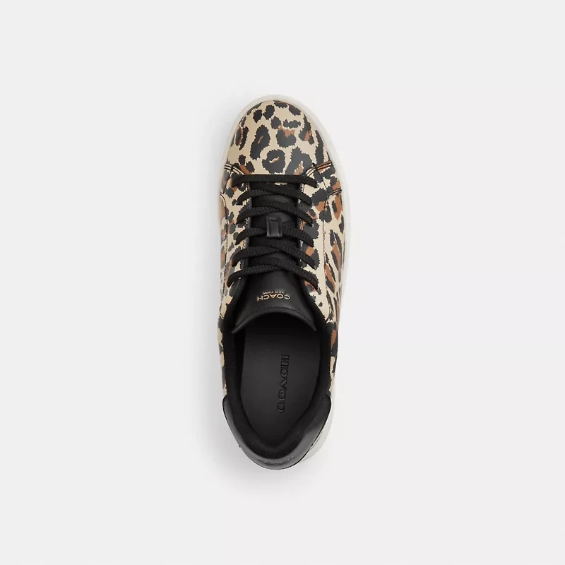High Line Sneaker With Leopard Print