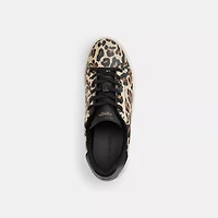 High Line Sneaker With Leopard Print