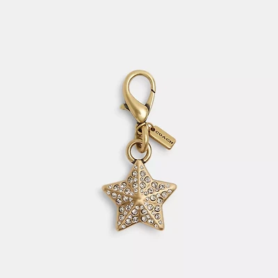 DIY Crystal Star Charm