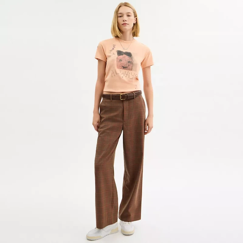 Carroty Shrunken T Shirt Organic Cotton