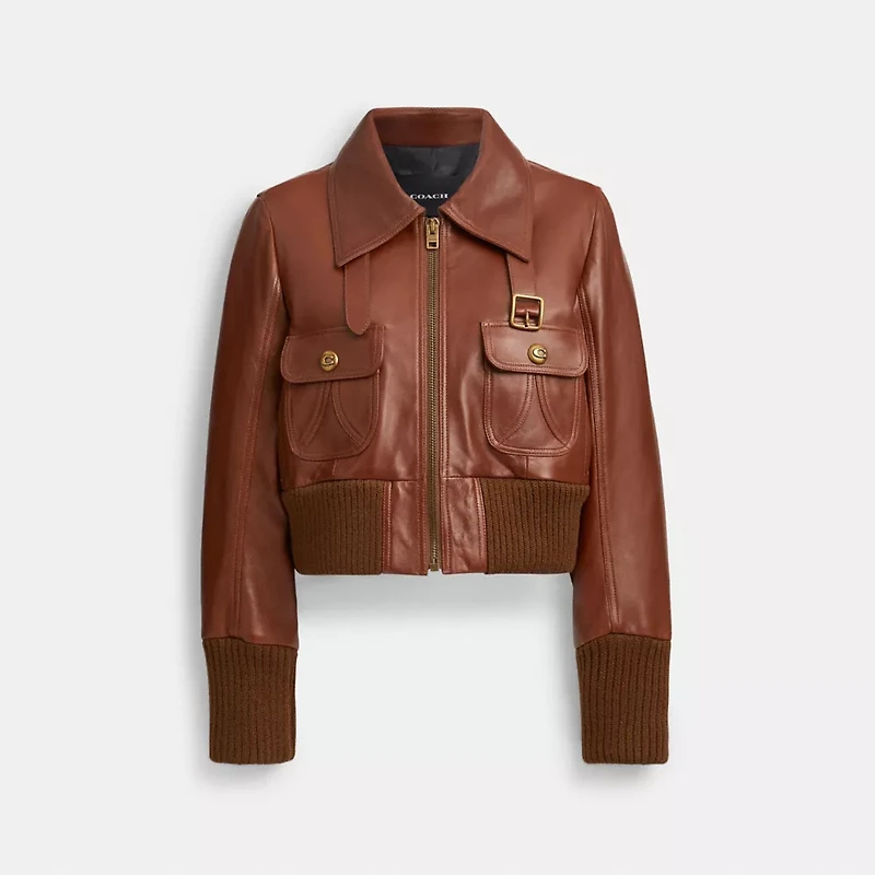 Shrunken Leather Aviator Jacket