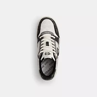 Soho Sneaker Mixed Signature