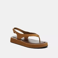 Sculpted C Platform Thong Sandal