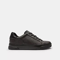 High Line Sneaker Signature Canvas