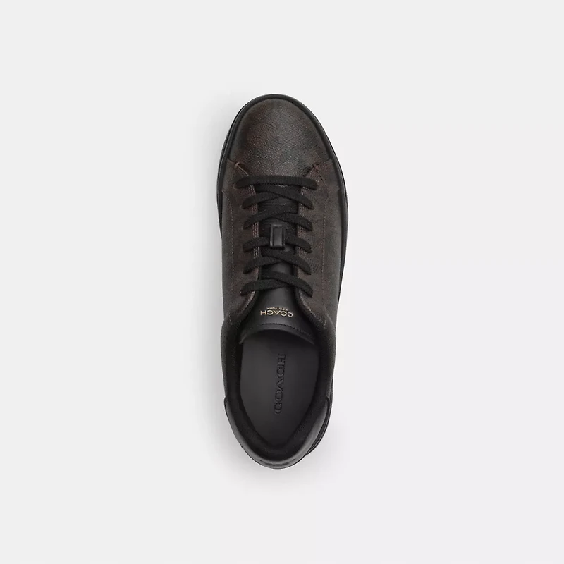 High Line Sneaker Signature Canvas