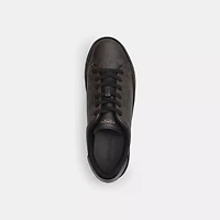 High Line Sneaker Signature Canvas
