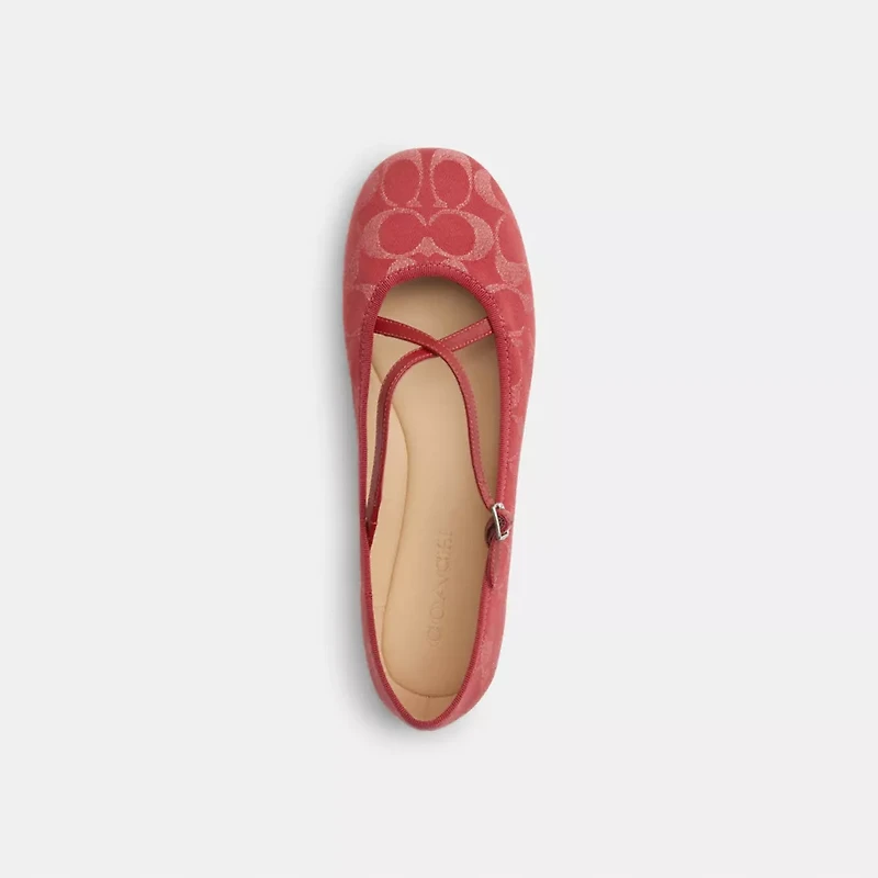 Phoebe Ballet Flat In Signature Denim