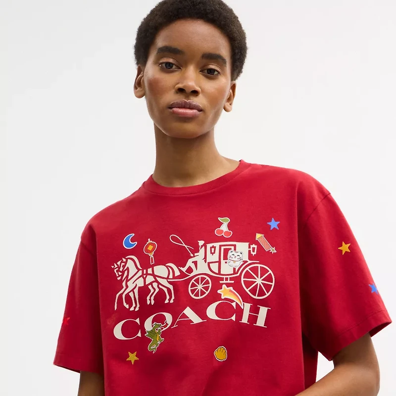 Horse And Carriage Sticker T-Shirt Organic Cotton