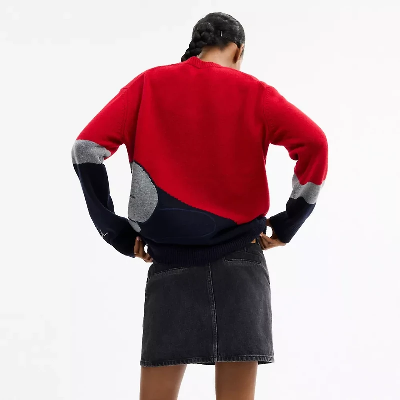 Disney X Coach Pluto Crewneck Sweater