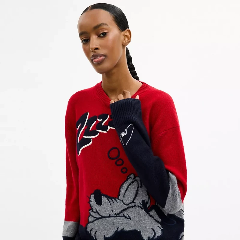 Disney X Coach Pluto Crewneck Sweater