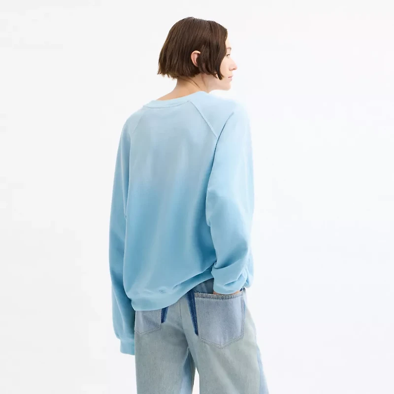 Disney X Coach Pluto Crewneck Sweater