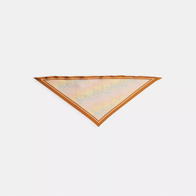 Signature Rainbow Print Silk Triangle Scarf