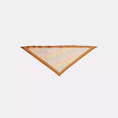 Signature Rainbow Print Silk Triangle Scarf