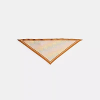 Signature Rainbow Print Silk Triangle Scarf