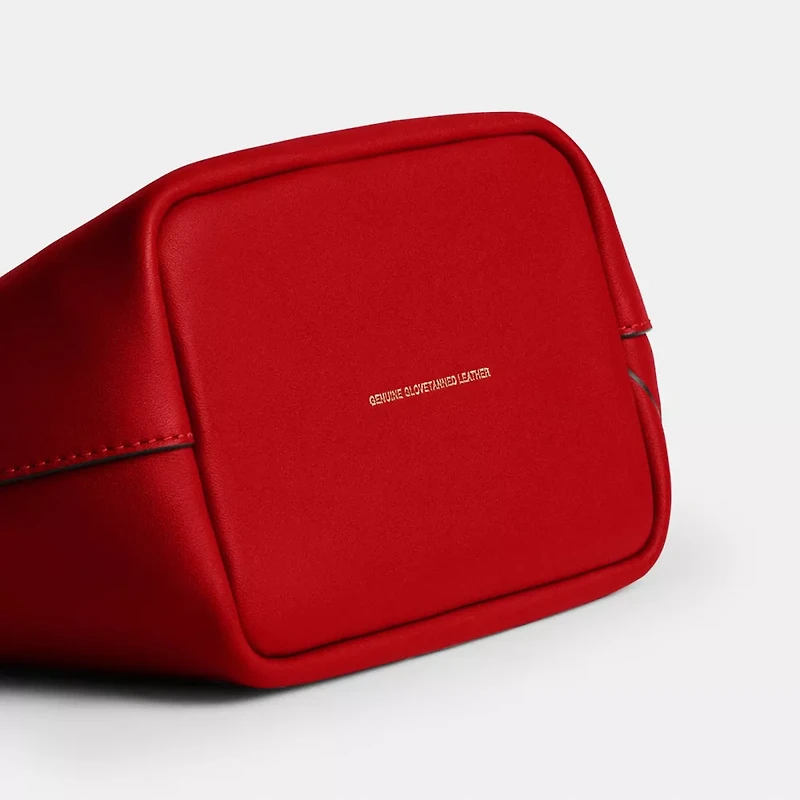 Disney X Coach Kisslock Frame Bag With Pluto