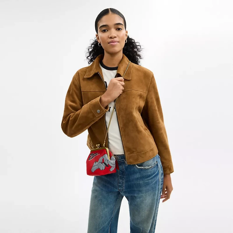 Disney X Coach Kisslock Frame Bag With Pluto