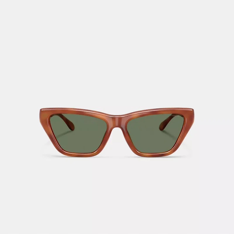 C Hardware Cat Eye Sunglasses