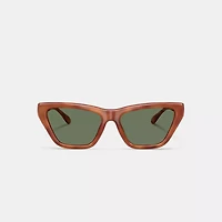 C Hardware Cat Eye Sunglasses