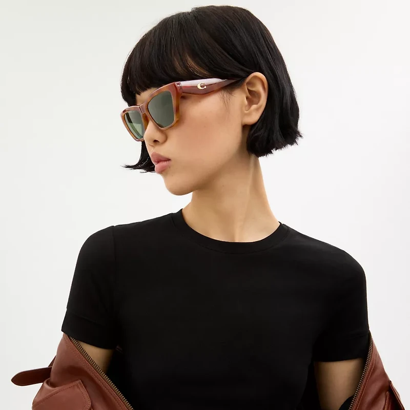 C Hardware Cat Eye Sunglasses