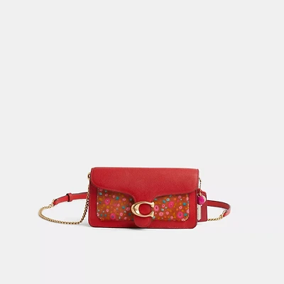 Upcrafted Tabby Chain Clutch