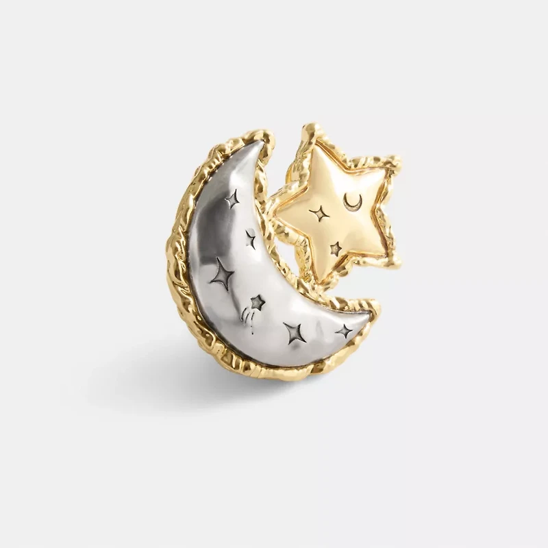 Moon And Star Brooch