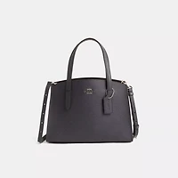 Restored Charlie Carryall 28