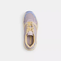 Sport Sneaker With Signature Canvas