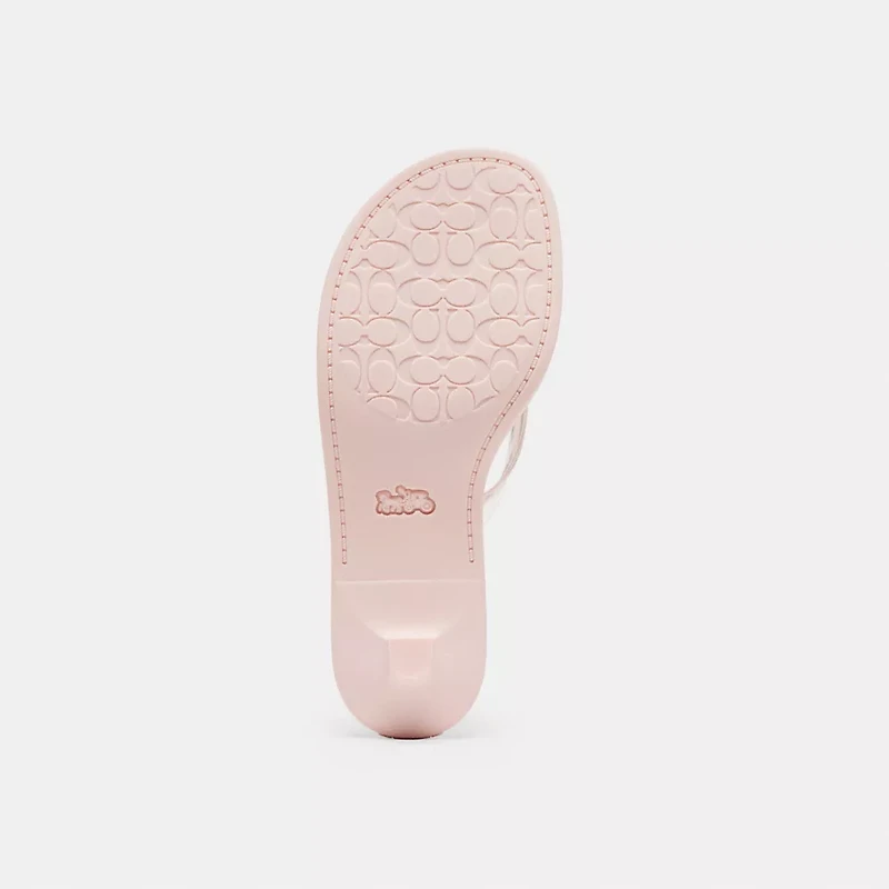 Jelly Thong Sandal Signature