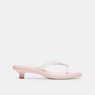 Jelly Thong Sandal Signature