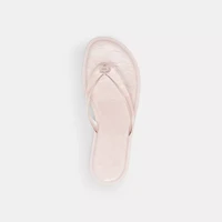 Jelly Thong Sandal Signature