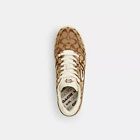 Soho Sneaker Signature Jacquard