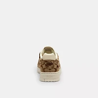 Soho Sneaker Signature Jacquard