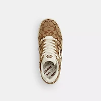 Soho Sneaker Signature Jacquard