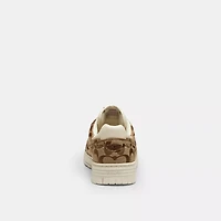 Soho Sneaker Signature Jacquard