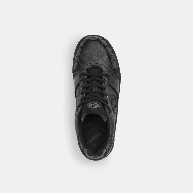 Soho Sneaker Signature